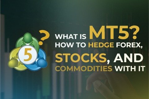 mt5 hedging forex stocks commodities guide MT5 platform guide explaining how to hedge forex, stocks, and commodities using MetaTrader 5